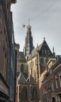 IMG_20200801_092203326_HDR.jpg