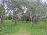 Begin van de wandeling