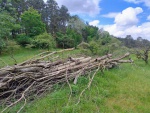 Wat dood hout