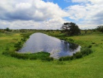 Veel water in de waterleidingduinen